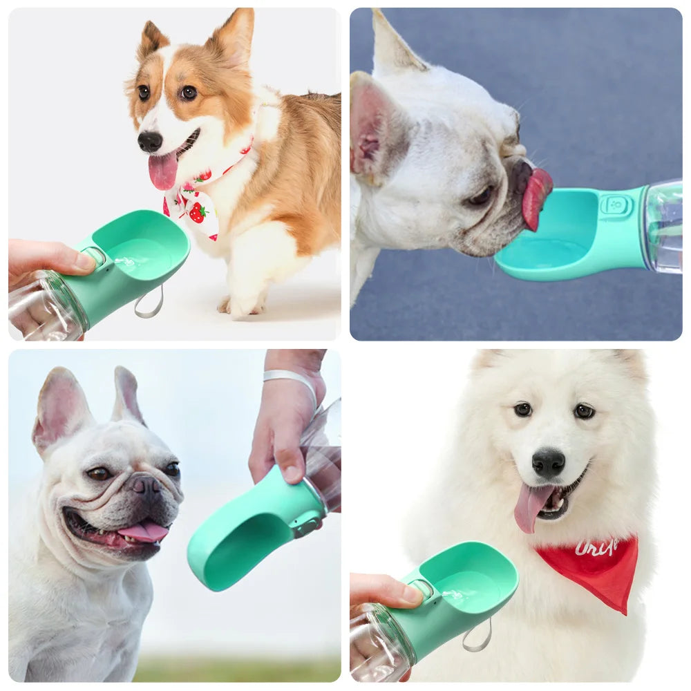 GloveBottle